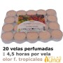 velas Aromáticas Frutas Tropicales