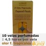 10 velas té Aromáticas Frutas Tropicales 11g - Lumar
