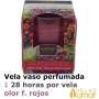 Vela Vaso Cristal Aromática Frutos Rojos 125g - Lumar