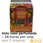 Vela Vaso Cristal Aromática Fruta Trópical 125g - Lumar
