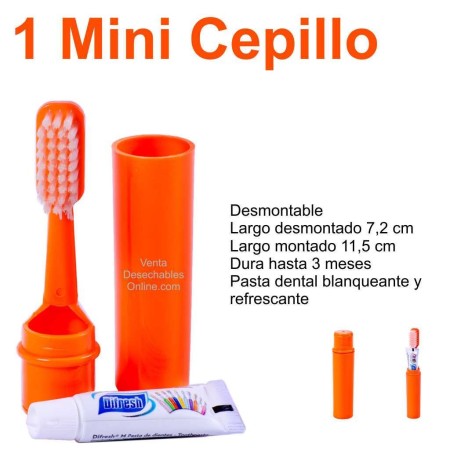 Cepillo De Dientes Para Los Viajes