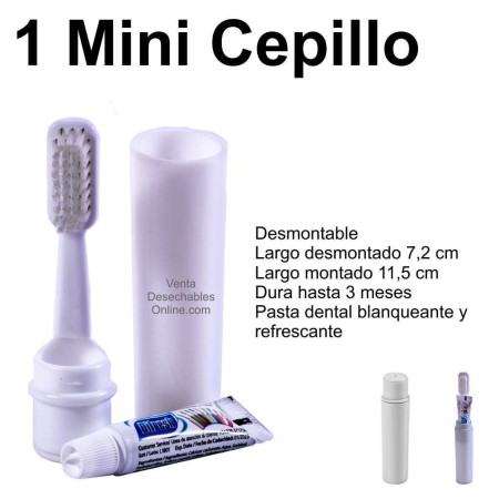 Cepillo Dental Desmontable