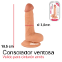 Dildo Con Ventosa Mr Rude Flexible 18,5 Cm