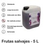 Lubricante Frutas del Bosque En Garrafa De 5 Litros