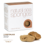 Esponjas Marinas