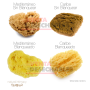 esponjas mediterránea 5060244480988