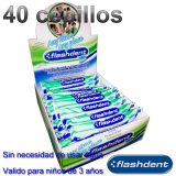 Cepillos Dentales Con Pasta incorporada Flashdent – 40 Uds