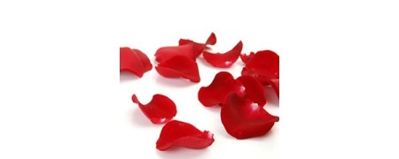 Venta pétalos para decoración