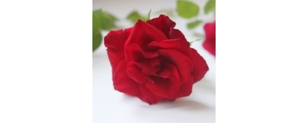 Compra pétalos de rosas perfumados