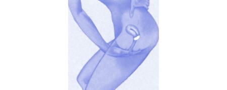 Esponjas vaginales para menstruación y relaciones | Comprar online