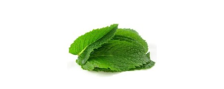Preservativos sabor u olor a menta