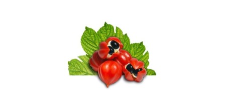 Compra lubricantes de guaraná