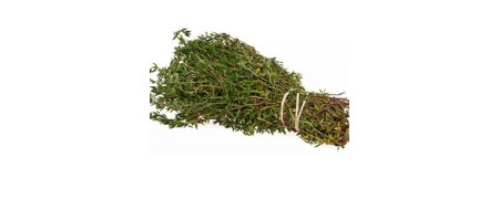 Aceite esencial de Tomillo