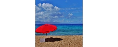 Inciensos con olor a mar. Varitas de incienso.