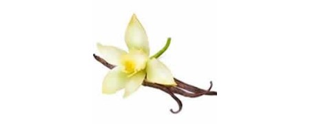 Lubricantes de vainilla