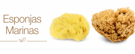 Esponjas Marinas Naturales para Higiene Íntima | Compra Online